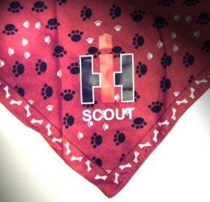 Pet Bandana - Scout's